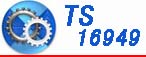 TS16949